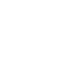 TV5MONDE Info logo