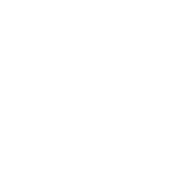 FilmRise Western logo