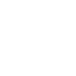 Survive or Die logo