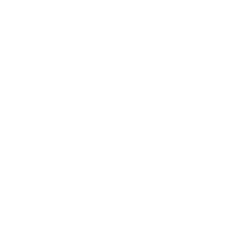 FOX (WOGX) logo