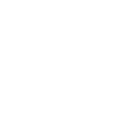 The Weather Network logo