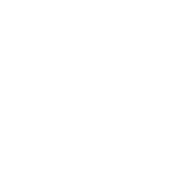 ViX Premium Deportes 1 logo