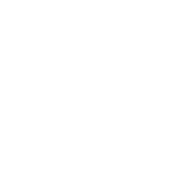 RetroPlex logo