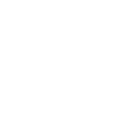 Canal Sur logo