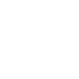The Kids in the Hall logo