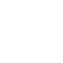Pasiones logo