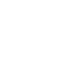 Newsday TV Long Island NY logo