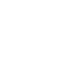 Stingray Zen Life logo