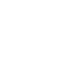 Colors Marathi logo