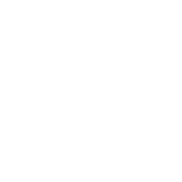 New York Knicks logo
