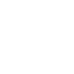 A New Life in the Sun logo
