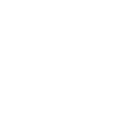 Euronews logo