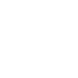Wild West TV logo