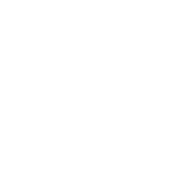 ABC (WLS) logo