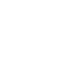 Los Angeles Sparks logo