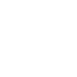 FTF Sports logo