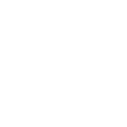 News 12 New York logo