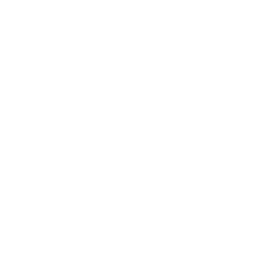 Alpha logo