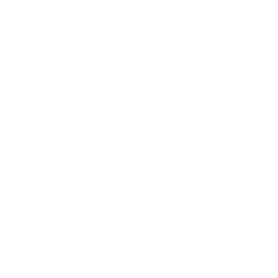 Saudi Sunna logo
