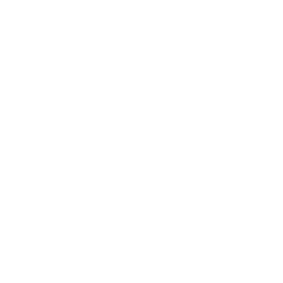 Disney Channel West-DISH logo