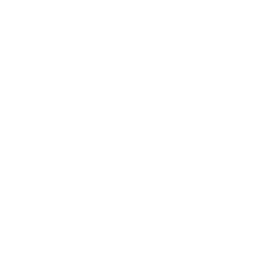 F1 Channel logo