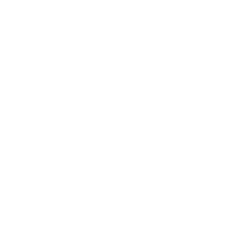 TVN 24 logo