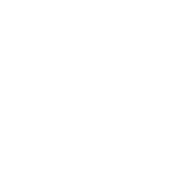 I Shouldn't Be Alive logo