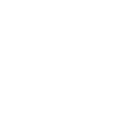 Chicago White Sox logo