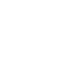 Premiere logo