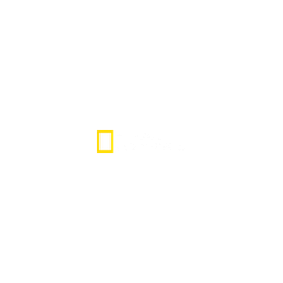 Nat Geo+1 logo