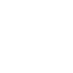 WFLX FOX 29 West Palm Beach FL logo