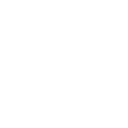 Padre Pio logo
