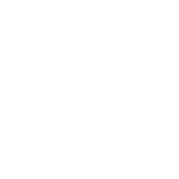 CHARGE!