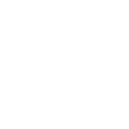 Atlanta Dream logo