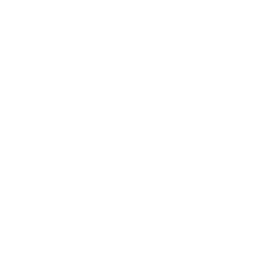 A&E logo