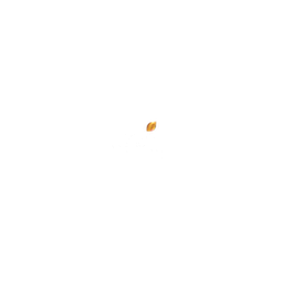 ColorsRishtey logo