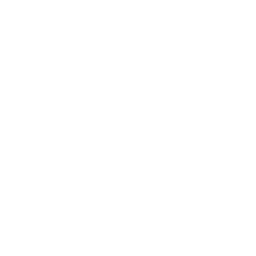 CTV Speed logo