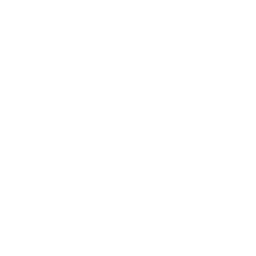 Lawless logo