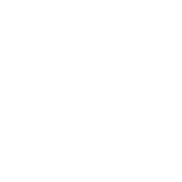 New York Mets logo