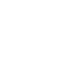 Swerve Combat logo