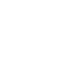 WWL CBS 4 New Orleans LA logo