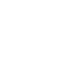 Willow 2 logo
