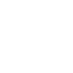 Atlanta Hawks logo