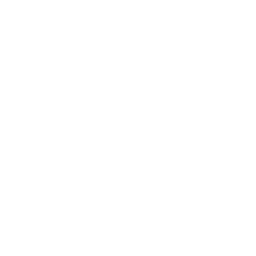Detroit Pistons logo