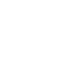 XITE Reggae Vibes logo