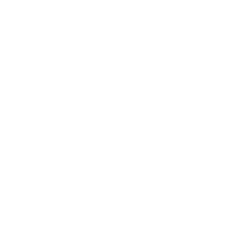 VICE logo