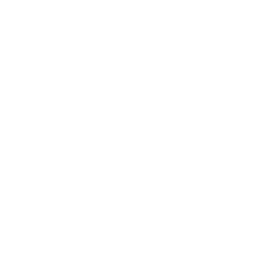 Z Nation logo