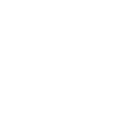 euronews logo