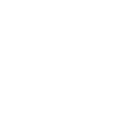 Fuse