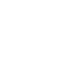 Pittsburgh Pirates logo
